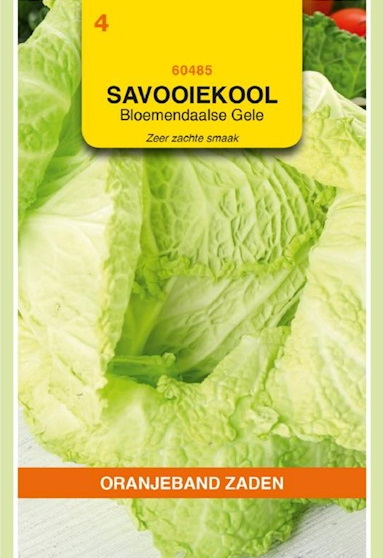 Savooiekool Bloemendaalse Gele (Brassica) 50 zaden